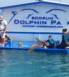 Bodrum Dolphin Park PorpoSea