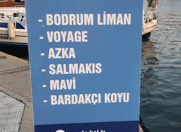 Bodrum-Bardakçı Shuttle